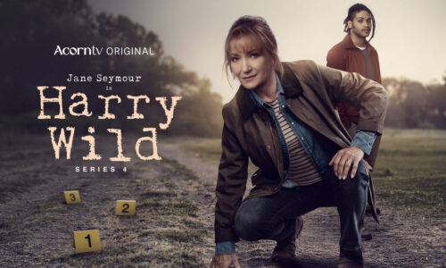 Anthony Delaney and Anthony Kinahan return to HARRY WILD S4